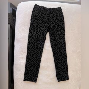 Ann Taylor - Petite Size 0 - Black Leopard Pants